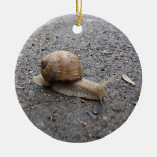 snail ceramic tree decoration