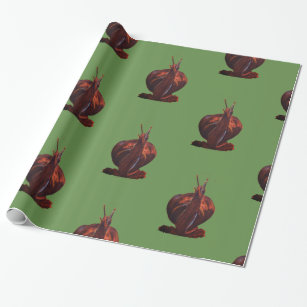Snail Drawing Glossy Wrapping Paper