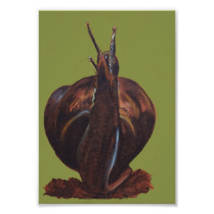 Snail Drawing Kodak Professional Photo Paper