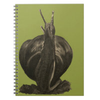 Snail Drawing Photo Notebook (80 Pages B&W)