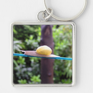 SNAIL EQUILIBRIST Keychain