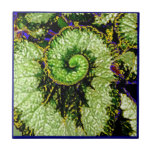 Snail Escargot Begonia Leaf by Sharles Tile<br><div class="desc">Awesome decorative curly leaf begonia house leaf design in greens and edged in blue make thoughtful gifts for mum or begonia collectors.</div>