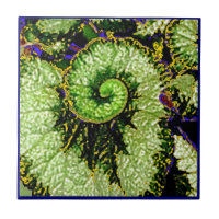 Snail Escargot Begonia Leaf by Sharles