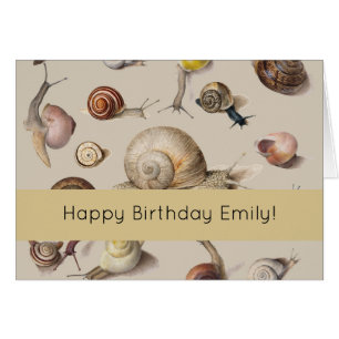 Snail Garden Pet Gastropod Slug Botanical Snails