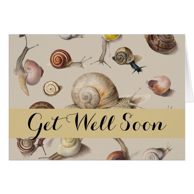 Snail Garden Pet Gastropod Slug Botanical Snails (Front Horizontal)