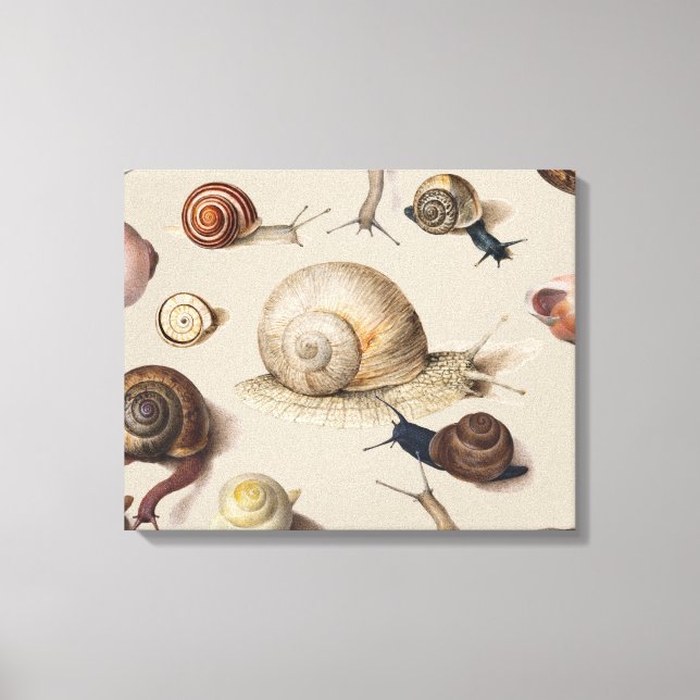Snail Garden Pet Gastropod Slug Botanical Snails Canvas Print (Front)