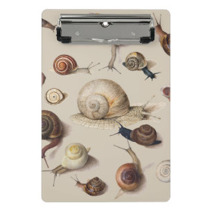 Snail Garden Pet Gastropod Slug Botanical Snails Mini Clipboard
