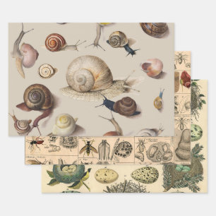 Snail Garden Pet Gastropod Slug Botanical Snails Wrapping Paper Sheet