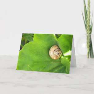 Snail Holiday Card