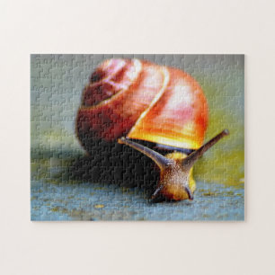 Snail Jigsaw Puzzle