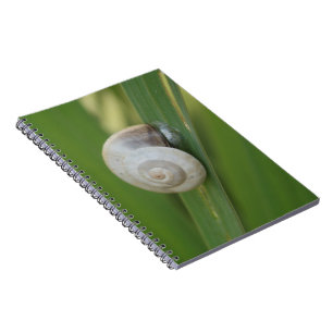 Snail Journal Notebook