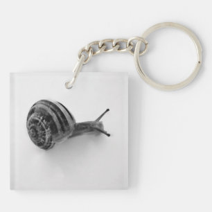 snail key ring