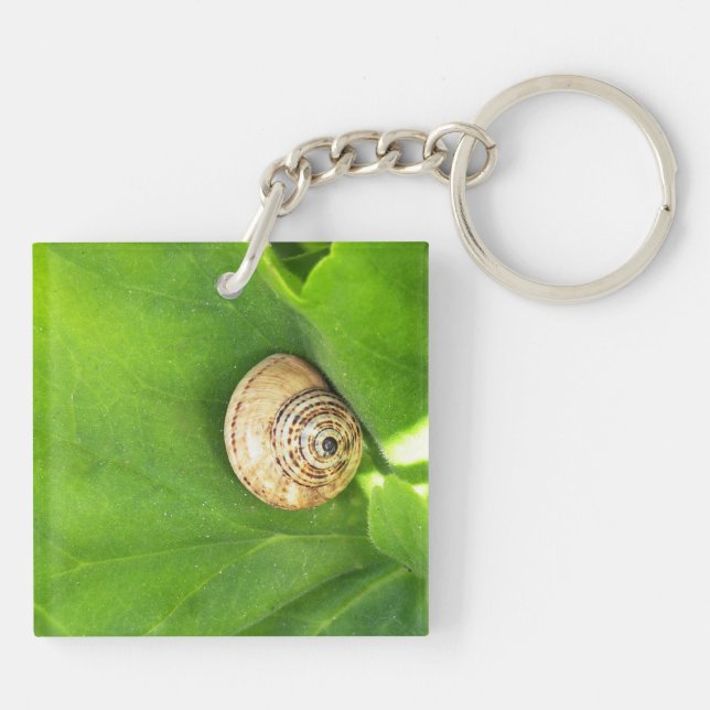 Snail Key Ring (Back)