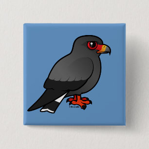 Snail Kite 15 Cm Square Badge