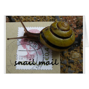 Snail mail