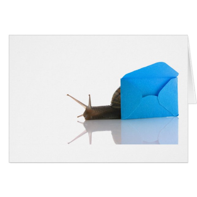 Snail Mail (Front Horizontal)