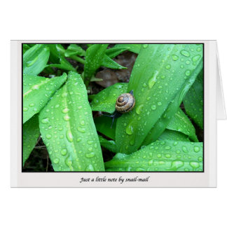 snail-mail
