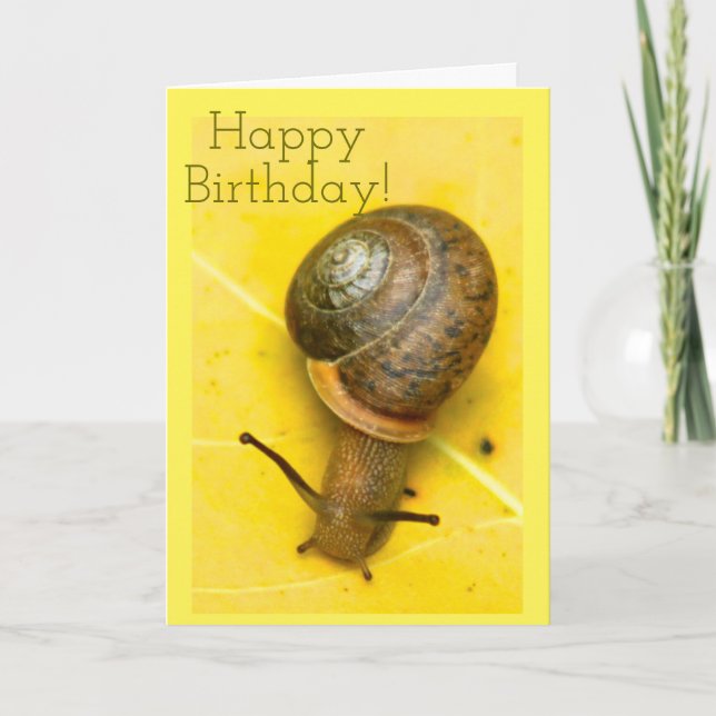 Snail mail card (Front)