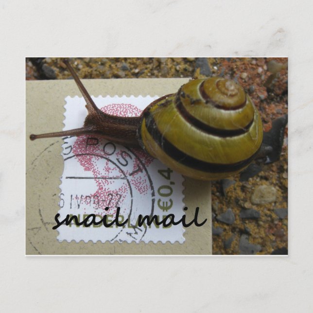 Snail mail postcard (Front)