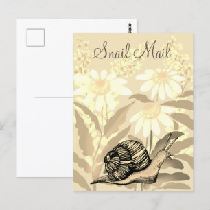 Snail mail postcard