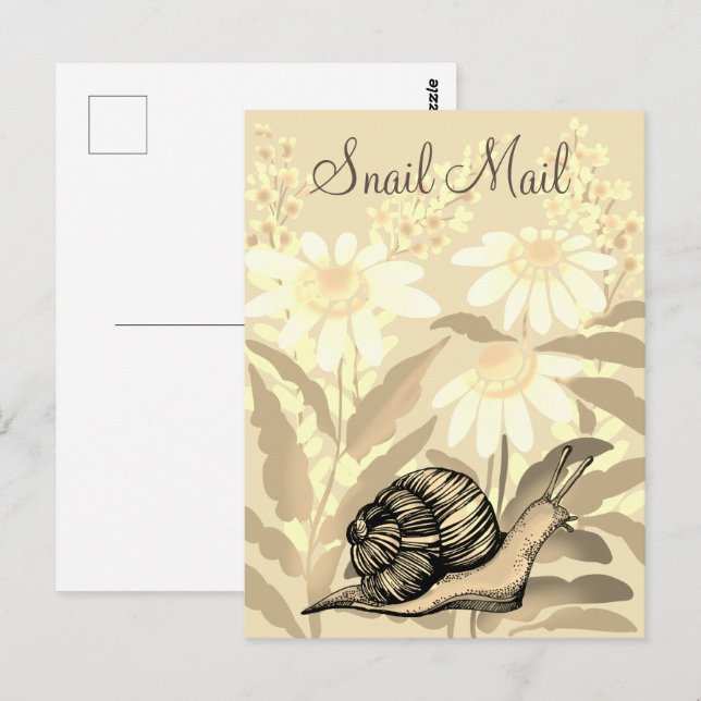 Snail mail postcard (Front/Back)