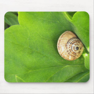 Snail Mouse Mat
