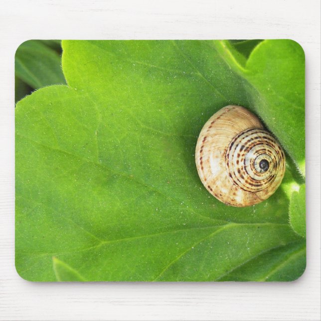 Snail Mouse Mat (Front)
