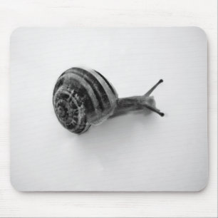 Snail Mouse Mat