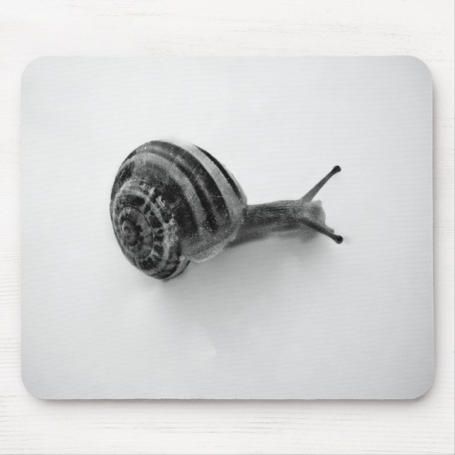 Snail Mouse Mat (Front)