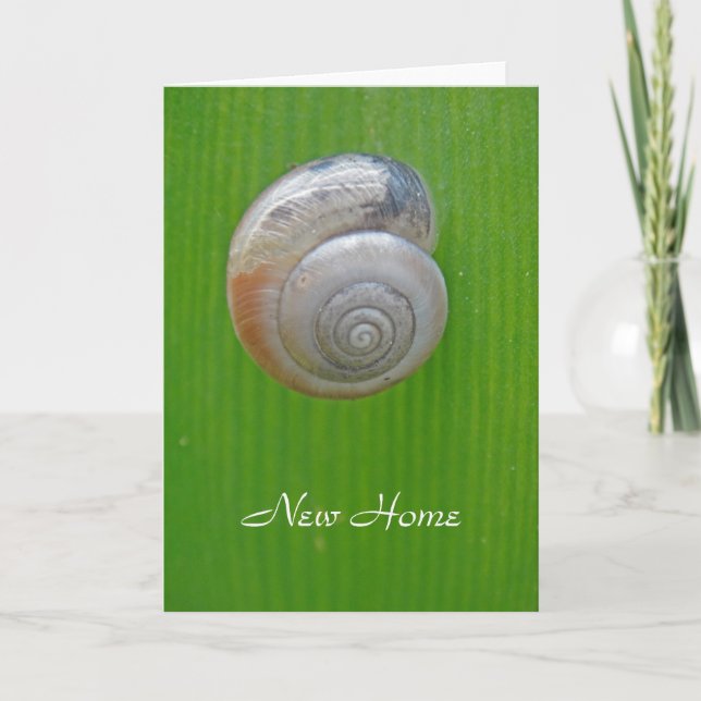Snail new home card (Front)