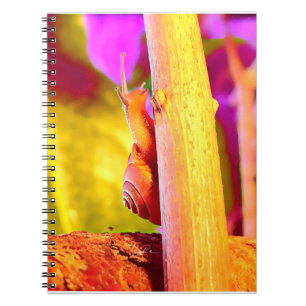 Snail Notebook