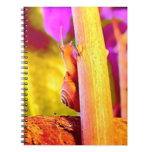 Snail Notebook (Front)