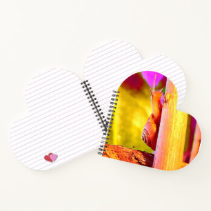 Snail Notebook