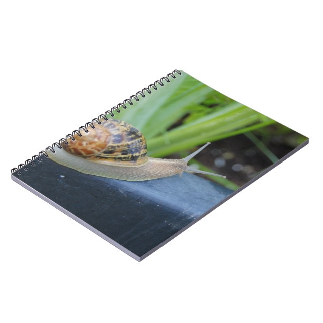 snail notebook (Left Side)