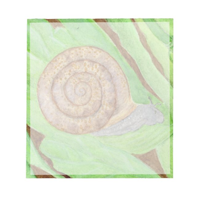 Snail Notepad (Front)