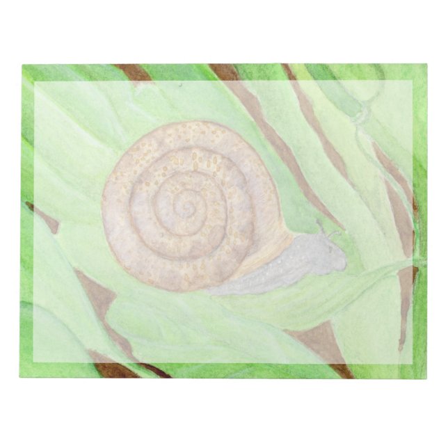 Snail Notepad (Front)