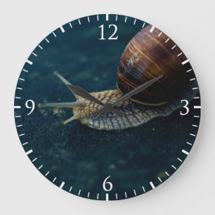 Snail On Blue Closeup, Nature Animal Photograph Large Clock