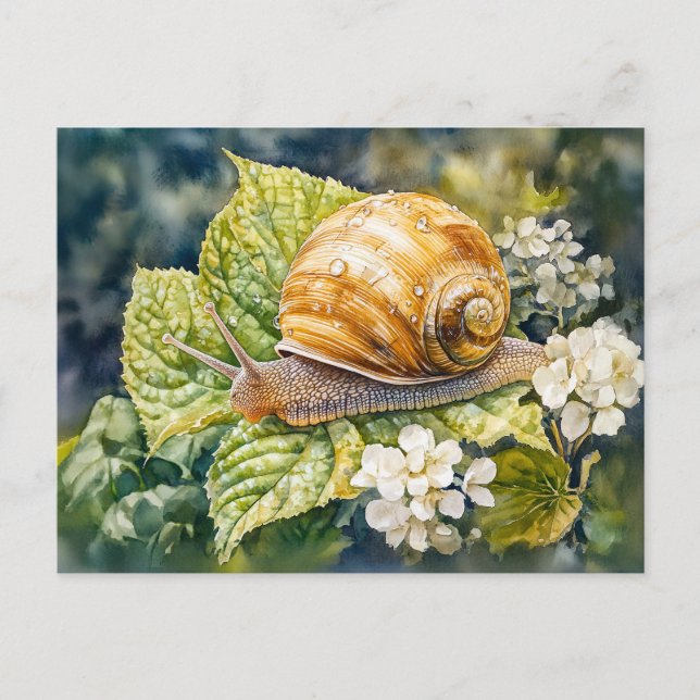 Snail on dogwood bush watercolor painting postcard (Front)