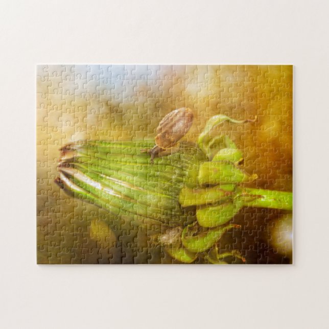 Snail on hike ... jigsaw puzzle (Horizontal)