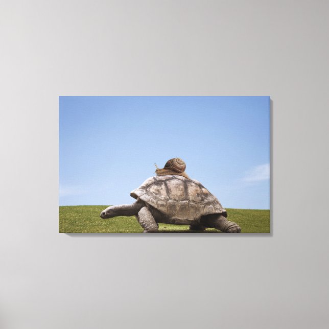Snail over a turtle canvas print (Front)