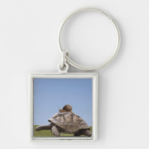 Snail over a turtle key ring