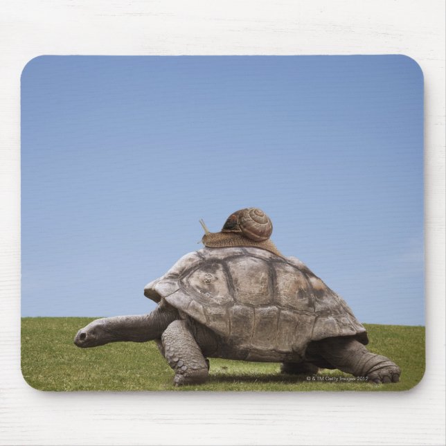 Snail over a turtle mouse mat (Front)