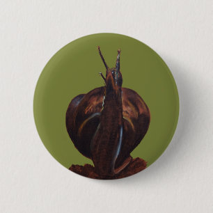 Snail Pastels Drawing  Round Badge