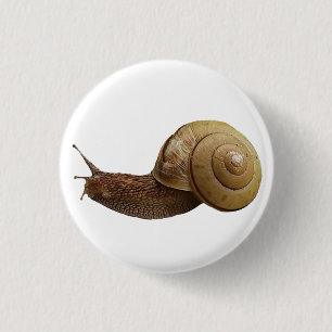 snail real photograph 3 cm round badge