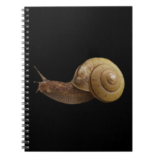 snail real photograph notebook