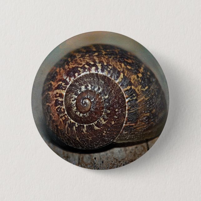 Snail Shell 6 Cm Round Badge (Front)