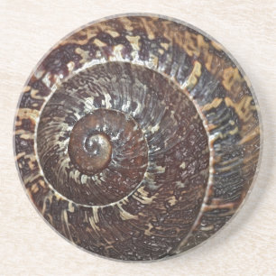 Snail Shell Coaster