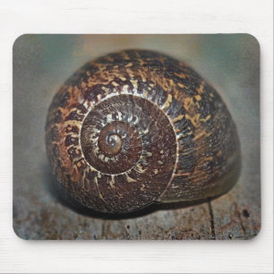 Snail Shell Mouse Mat