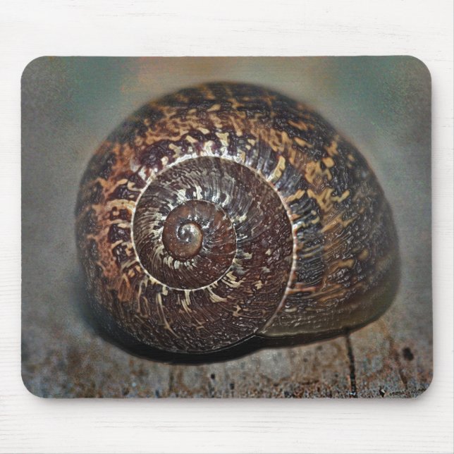 Snail Shell Mouse Mat (Front)