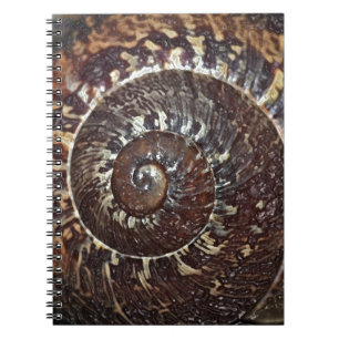 Snail Shell Notebook
